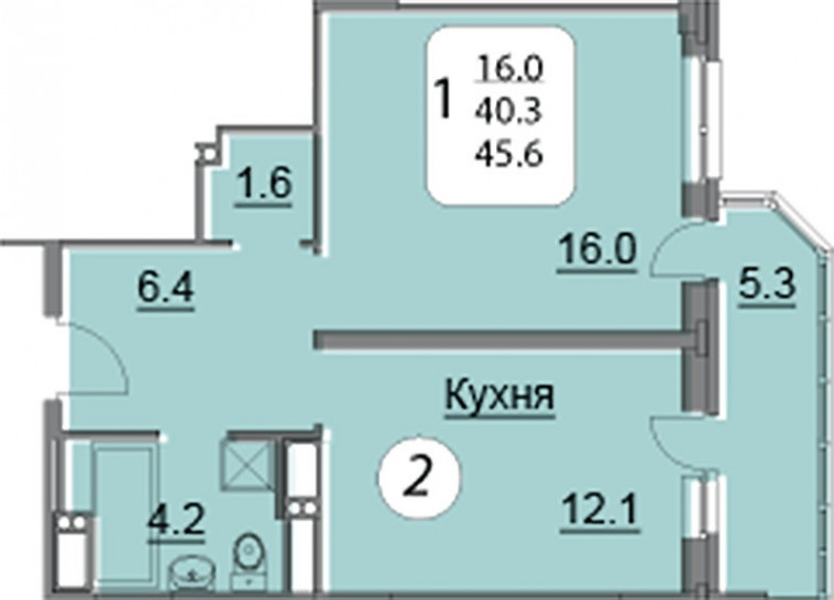 Однокомнатная квартира 45.6 м²